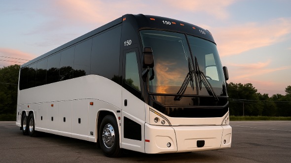 fremont bachelor and bachelorette party bus rentals