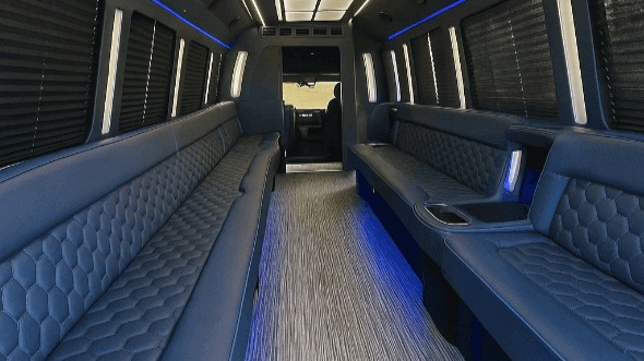 pleasanton 20 passenger party bus
